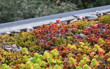 the cost of Stansbatch green roof installation