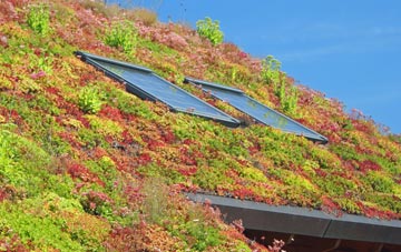 Stansbatch living roof systems