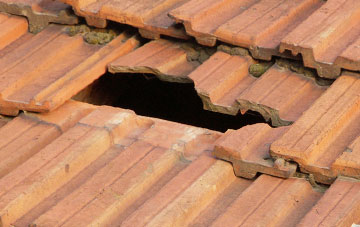 roof repair Stansbatch, Herefordshire