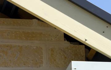 soffit repair Stansbatch