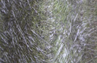 Stansbatch fibreglass roof work